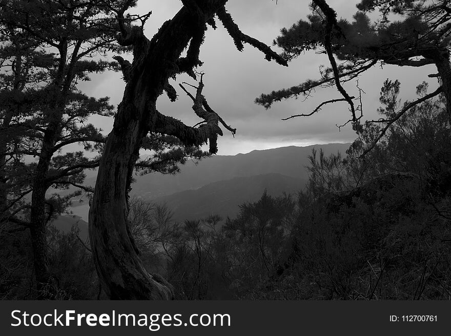 Abstract mono landscape in the mountains of Portugal