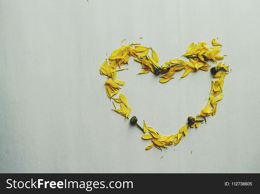 Heart Shape Yellow Flower Petals