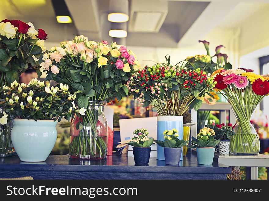 Assorted Flower Arrangements