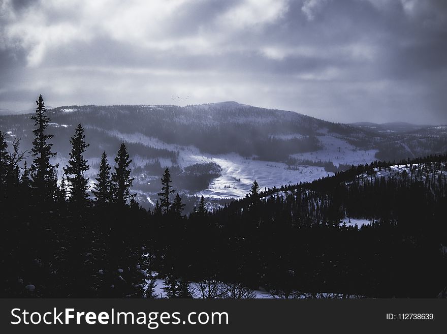 Landscape Photo of Mountains