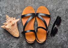 Sandals, Seashell, Sanglasses Stock Image