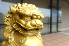 Chinese Gold Lion Royalty Free Stock Photos