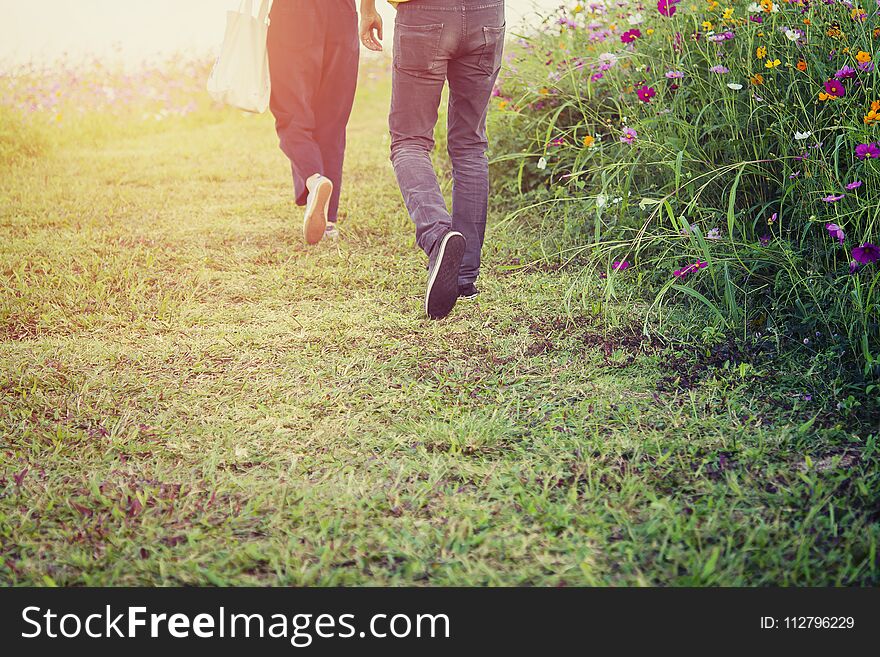 Young couple walking in the cosmos field