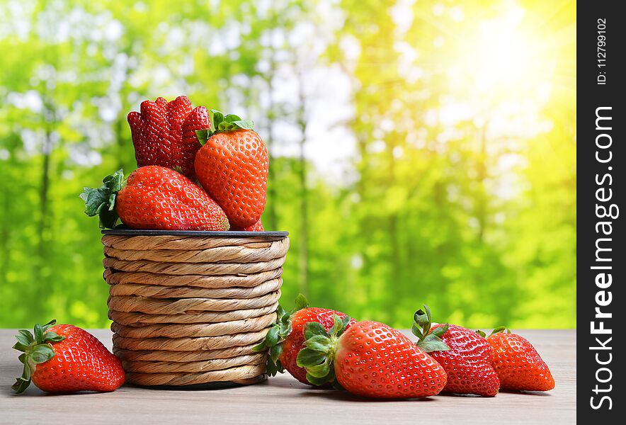 Ripe sweet strawberries in wooden basket. Summer harvest. Gardening concept.