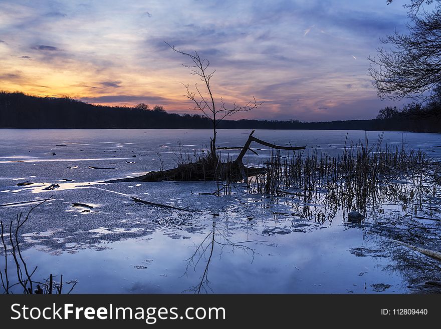 Bare Tree In The Middle Of Body Of Water