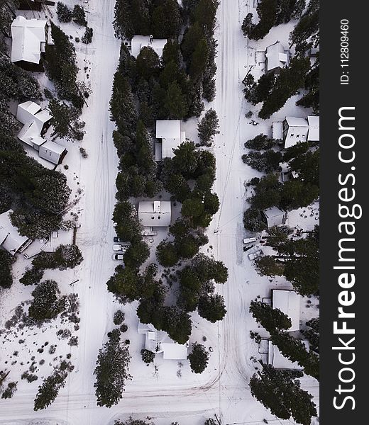 Areal Photography of Snow Covered Houses Surrounded by Green Trees