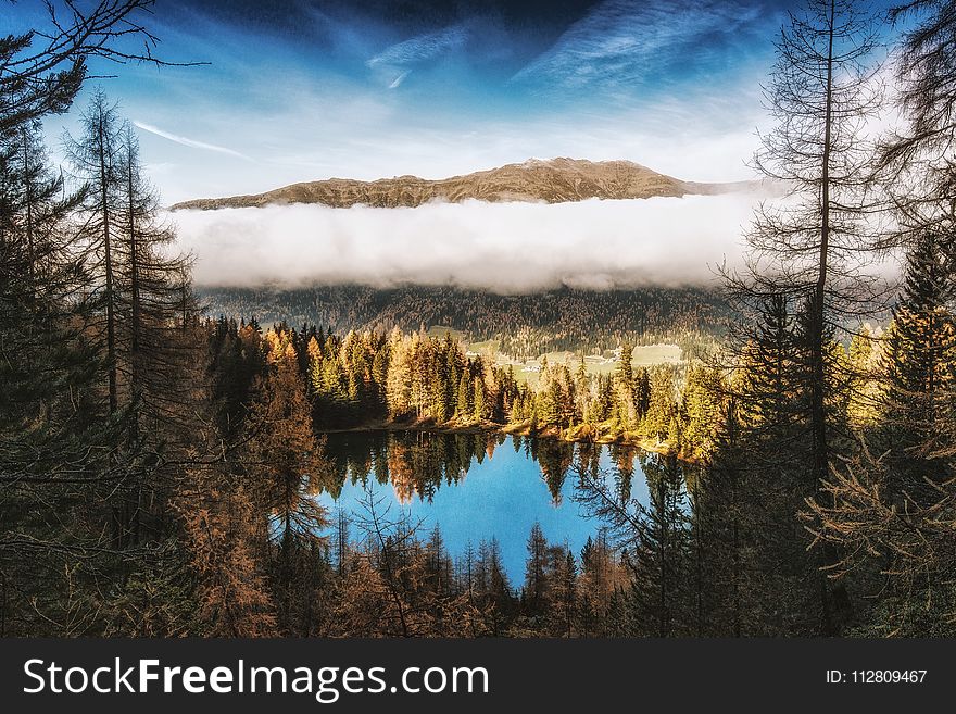 Pine Trees Beside Body of Water Near Mountain Under White Clouds