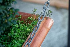 Bush In Flowerpot With Steel Chain Fence Before It Stock Photography
