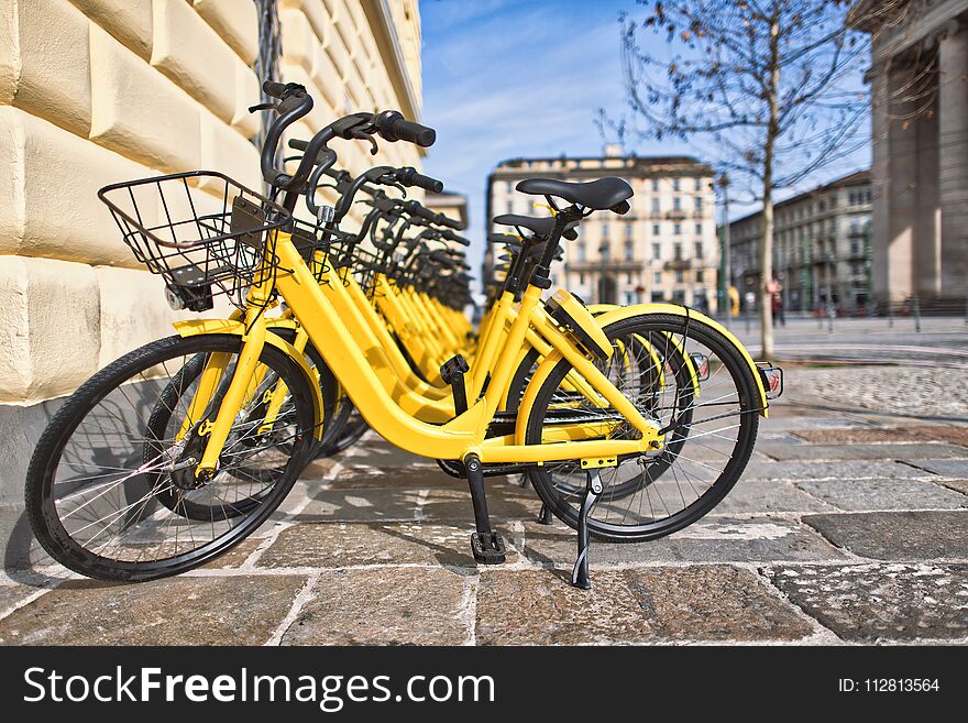 Bicycles in public use in the city.