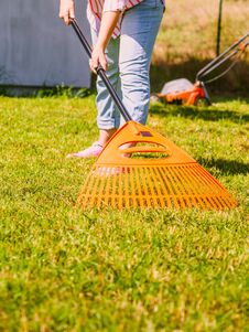 Woman Using Rake To Clean Up Garden Lawn Royalty Free Stock Images Woman Using Rake To Clean Up Garden Lawn Royalty Free Stock Images