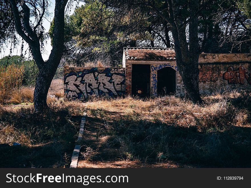 Tree, Ruins, Landscape, Grass