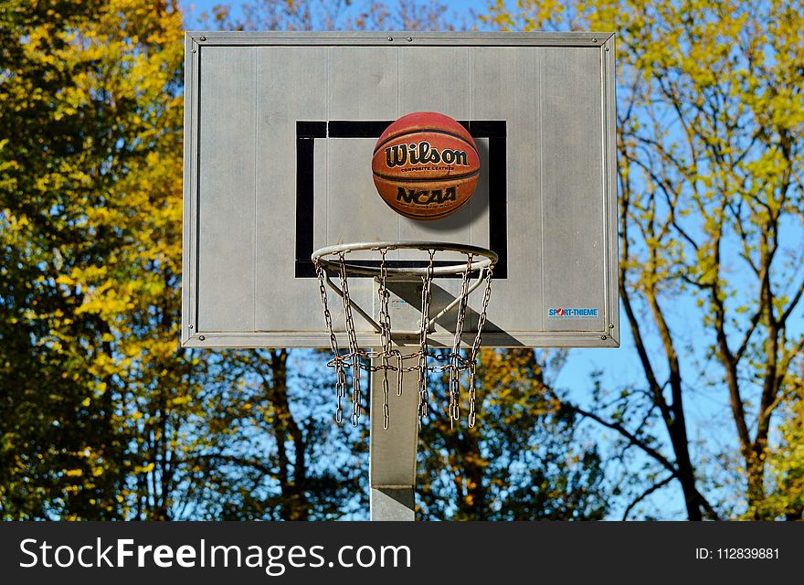 Yellow, Tree, Advertising, Street Sign