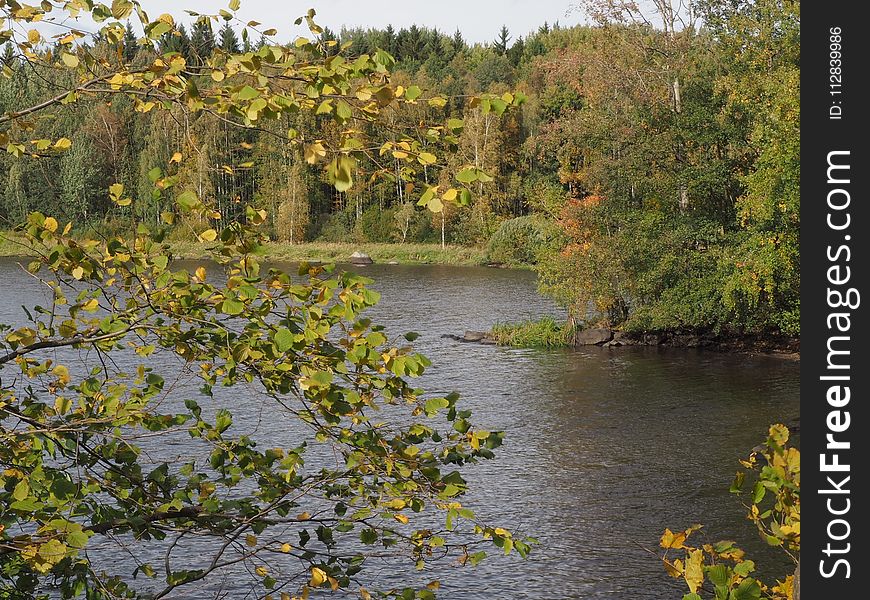 Waterway, Vegetation, Nature Reserve, River