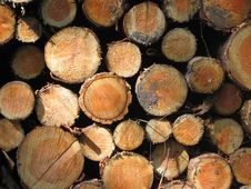 Free Wood, Lumber Royalty Free Stock Photography - 112842867