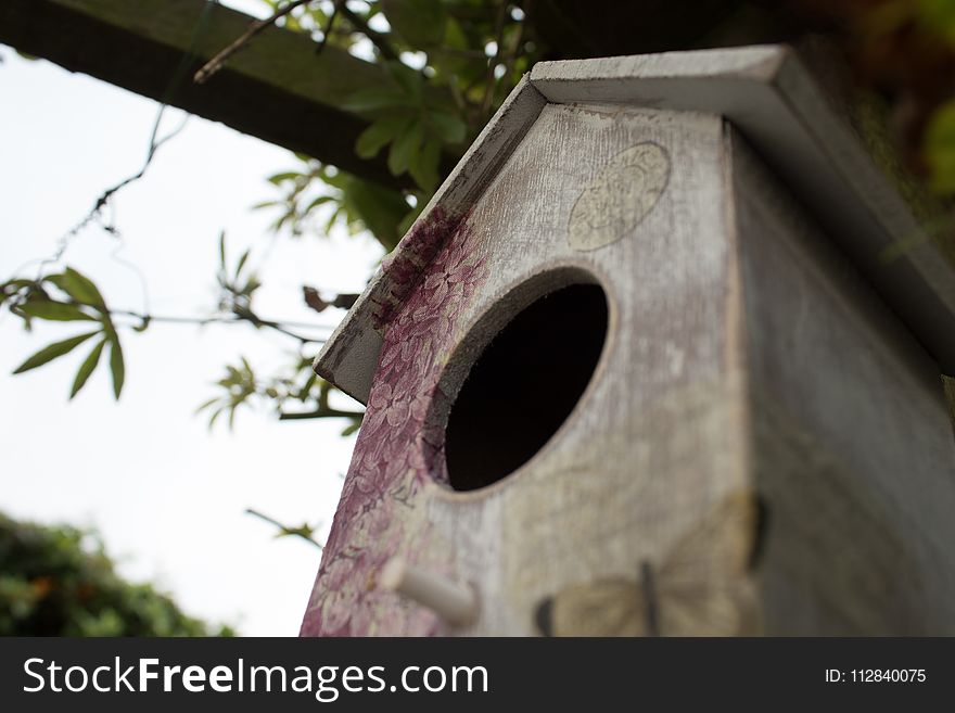 Birdhouse, Bird Feeder