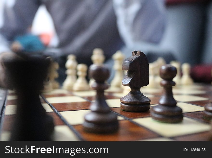 Indoor Games And Sports, Chess, Games, Board Game