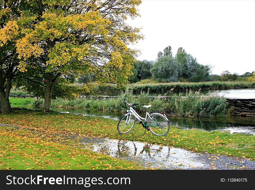 Road Bicycle, Nature, Bicycle, Yellow