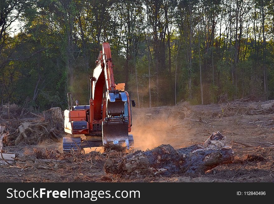 Tree, Soil, Forest, Vehicle