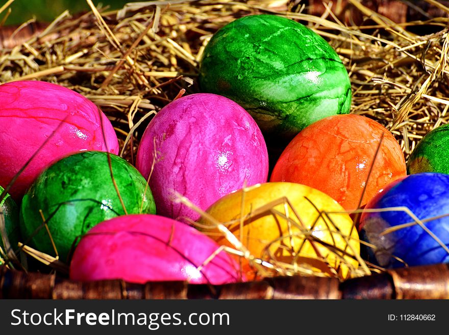 Easter Egg, Local Food, Easter, Egg