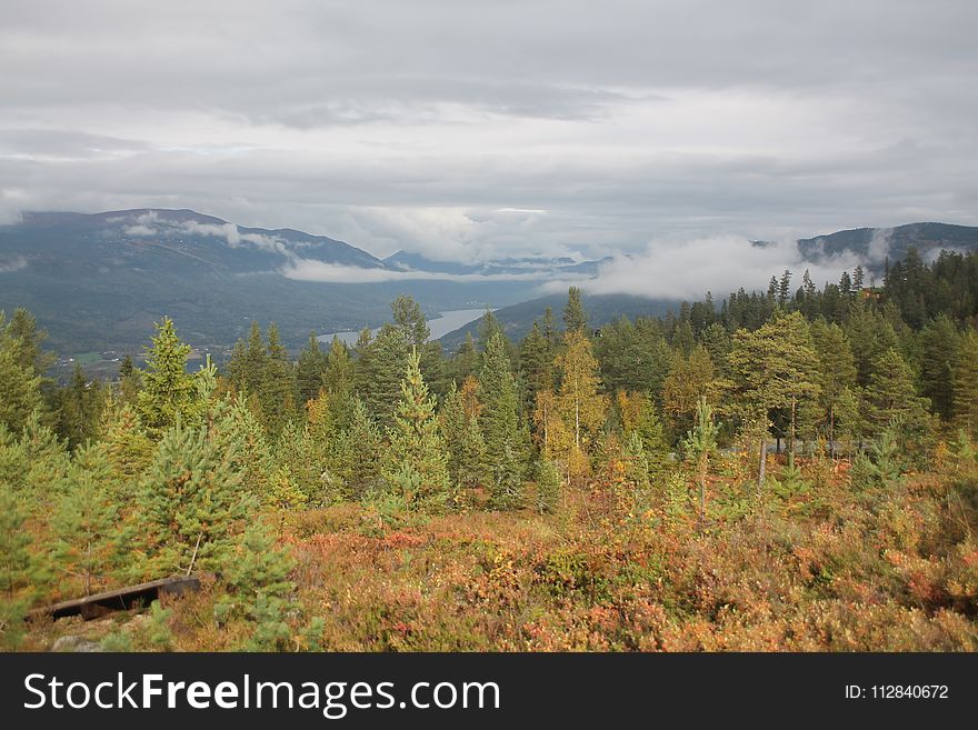 Wilderness, Ecosystem, Ridge, Highland