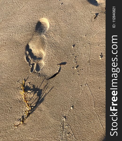 Sand, Footprint, Shadow, Geology