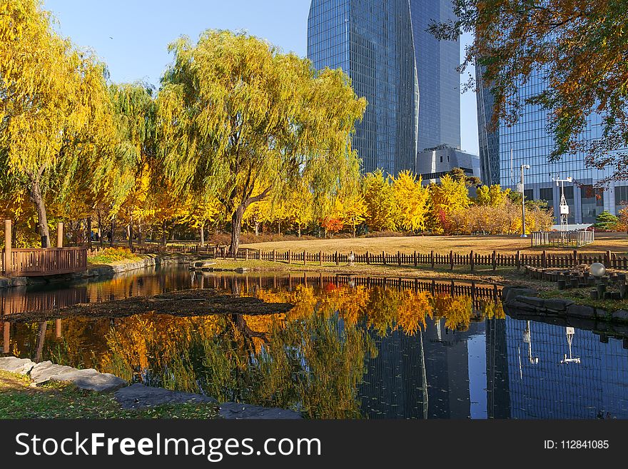 Reflection, Waterway, Nature, Water