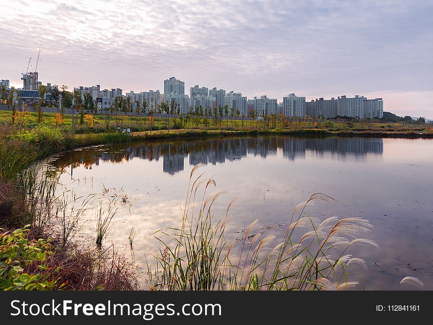 Reflection, Water, Wetland, Sky