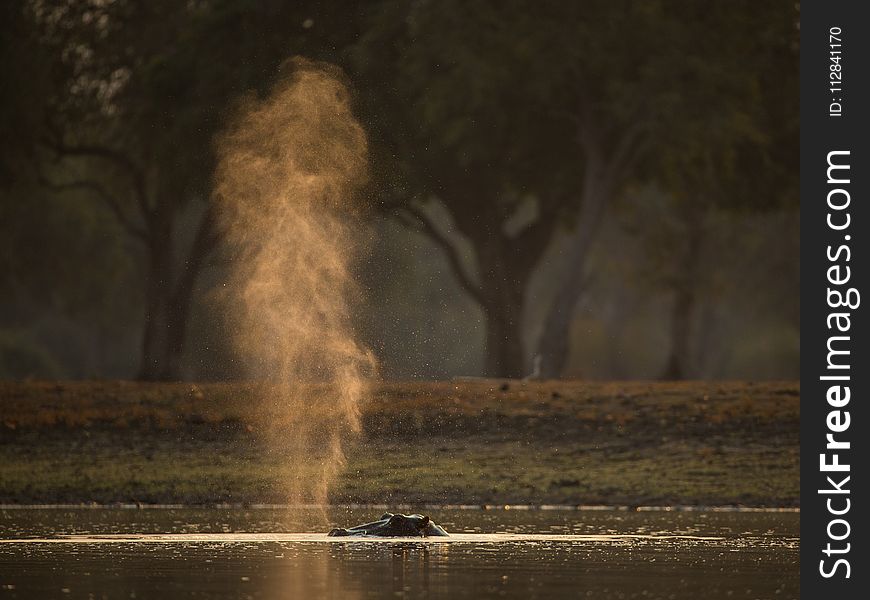 Water, Water Feature, Phenomenon, Water Resources