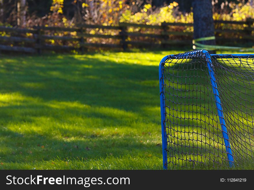 Grass, Green, Yellow, Lawn