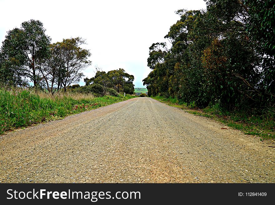 Road, Path, Sky, Tree