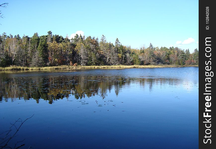 Reflection, Water, Lake, Nature