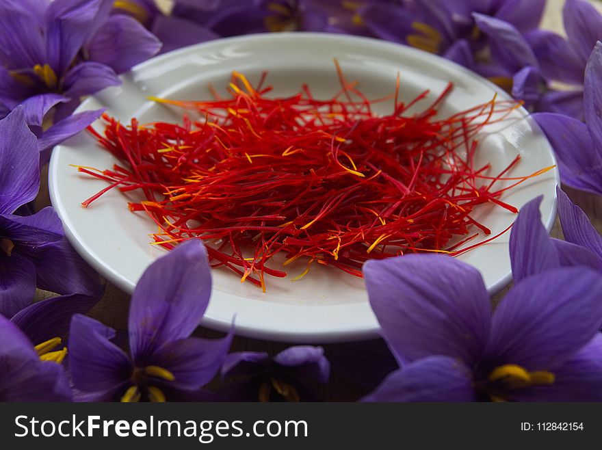 Spice, Flower, Saffron, Petal