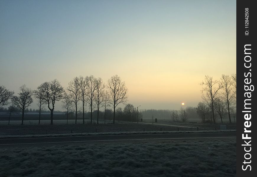 Sky, Dawn, Tree, Sunrise