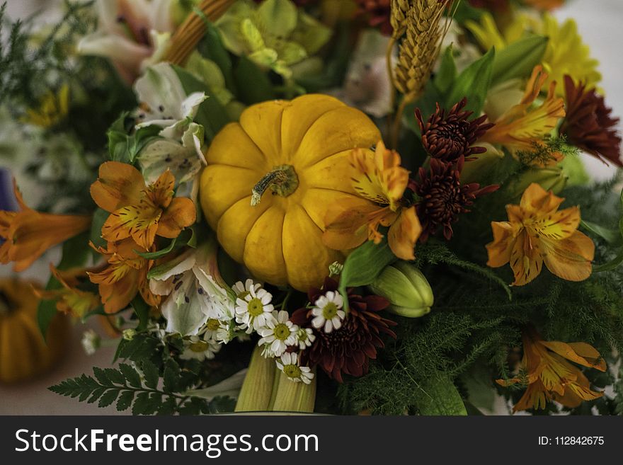 Flower, Floristry, Flower Arranging, Winter Squash