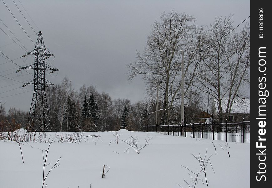 Snow, Winter, Tree, Sky