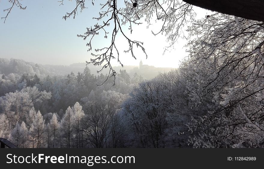 Sky, Winter, Tree, Frost