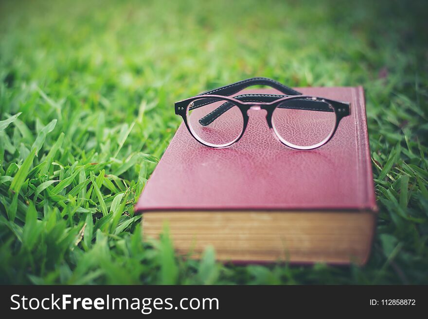 Glasses with red book on the green grass in the park background