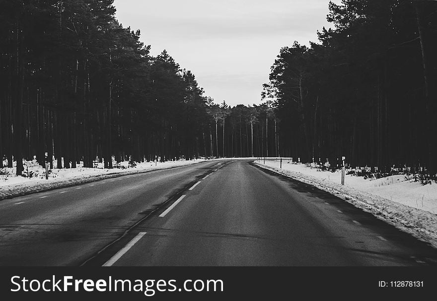 Monochrome Photography of Roadway During Winter