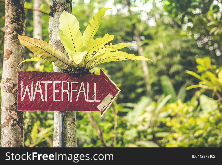 Waterfall Signage
