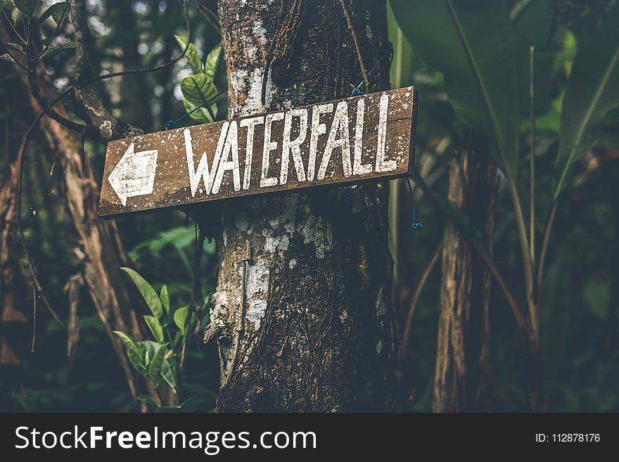 Brown Wooden Waterfall Direction Sign Placed on Brown Tree Bark
