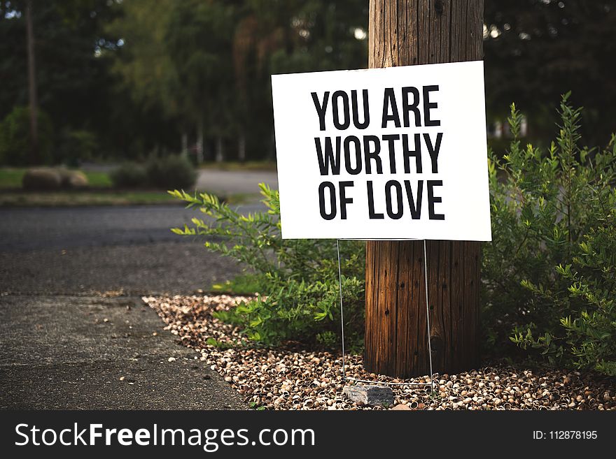 You Are Worthy of Love Signage on Brown Wooden Post Taken