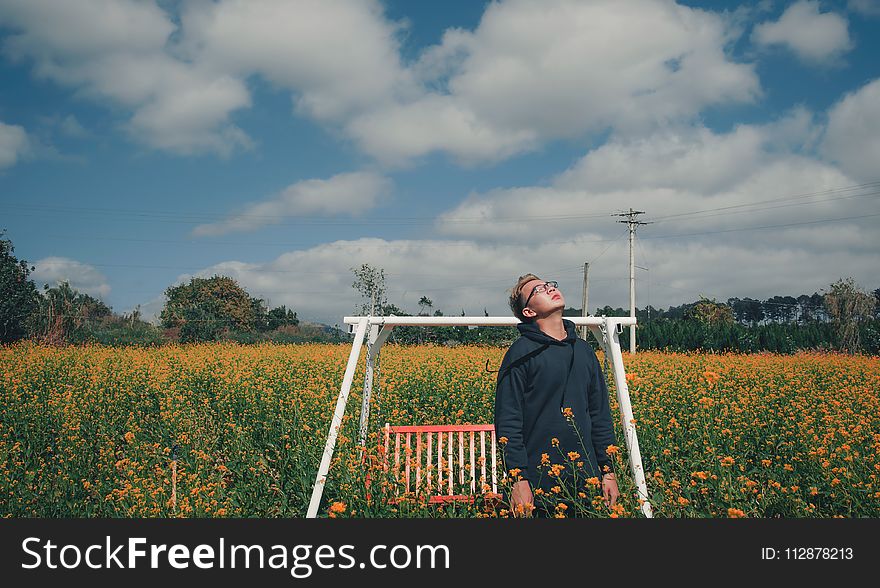 Man Standing on Bed of Yellow Flowers Near Bench Swing