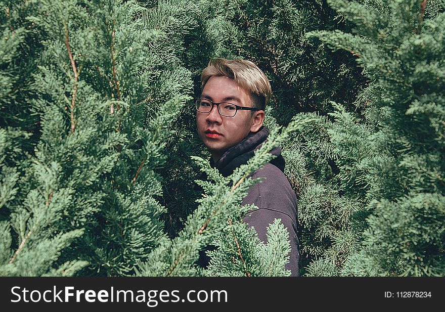Photography of Man Between Pine Trees