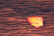 Leaf On The Wood Background. Stock Photography