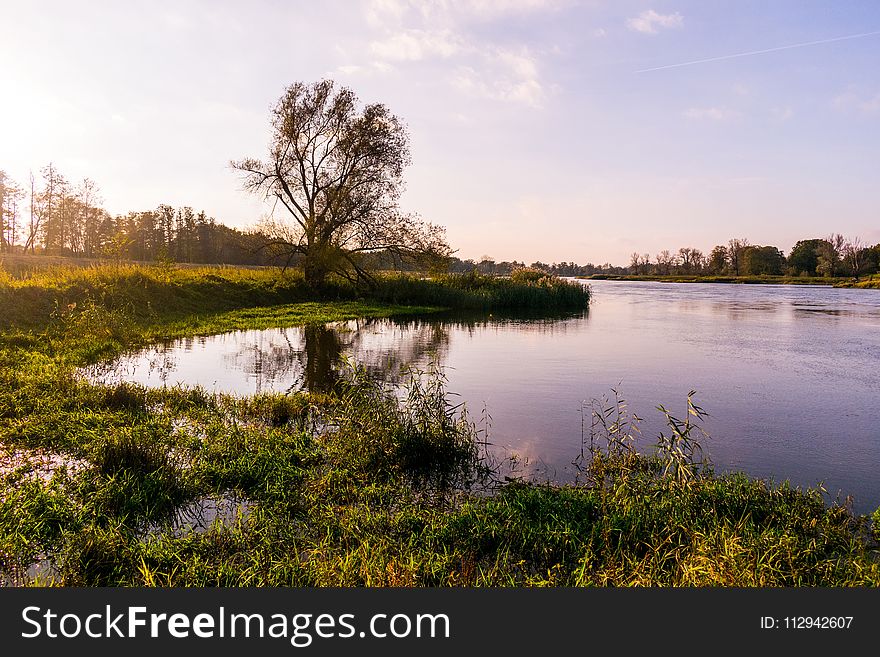 Body of Water and Green Plants Under Blue Sky