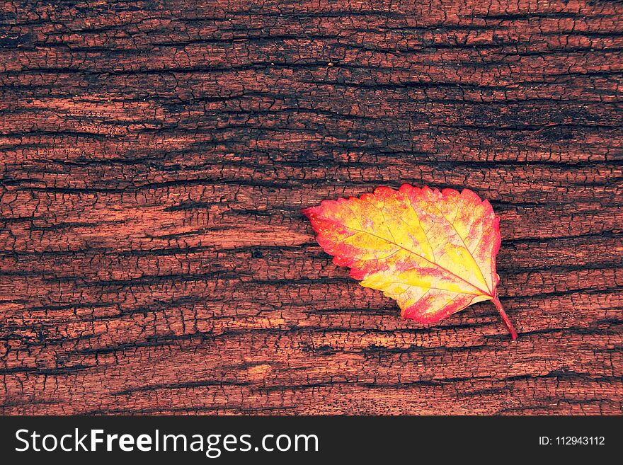 leaf on the wood background.