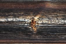 Old Pine Plank Royalty Free Stock Photo Old Pine Plank Royalty Free Stock Photo