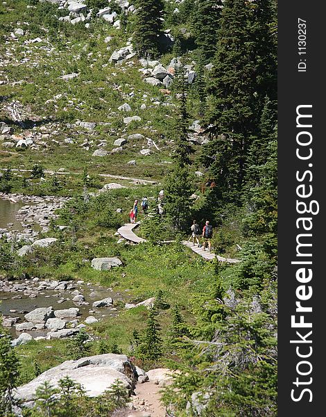 Hikers and sightseerers walk a boardwalk thorugh sensitive wetlands. Hikers and sightseerers walk a boardwalk thorugh sensitive wetlands.