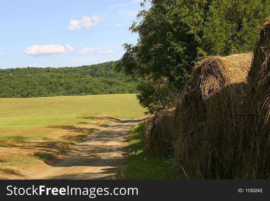 Round bales of hay beside a shaded country lane