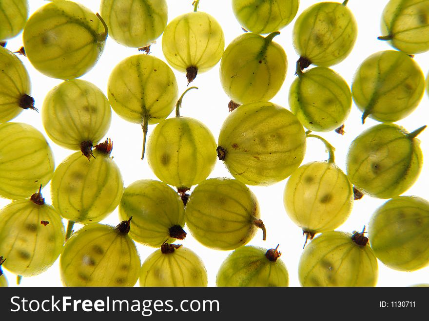 Green gooseberry, studio light. Green gooseberry, studio light